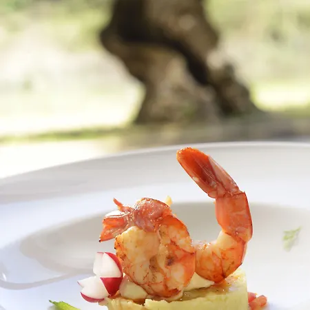 Four Points By Sheraton Hotel 4*